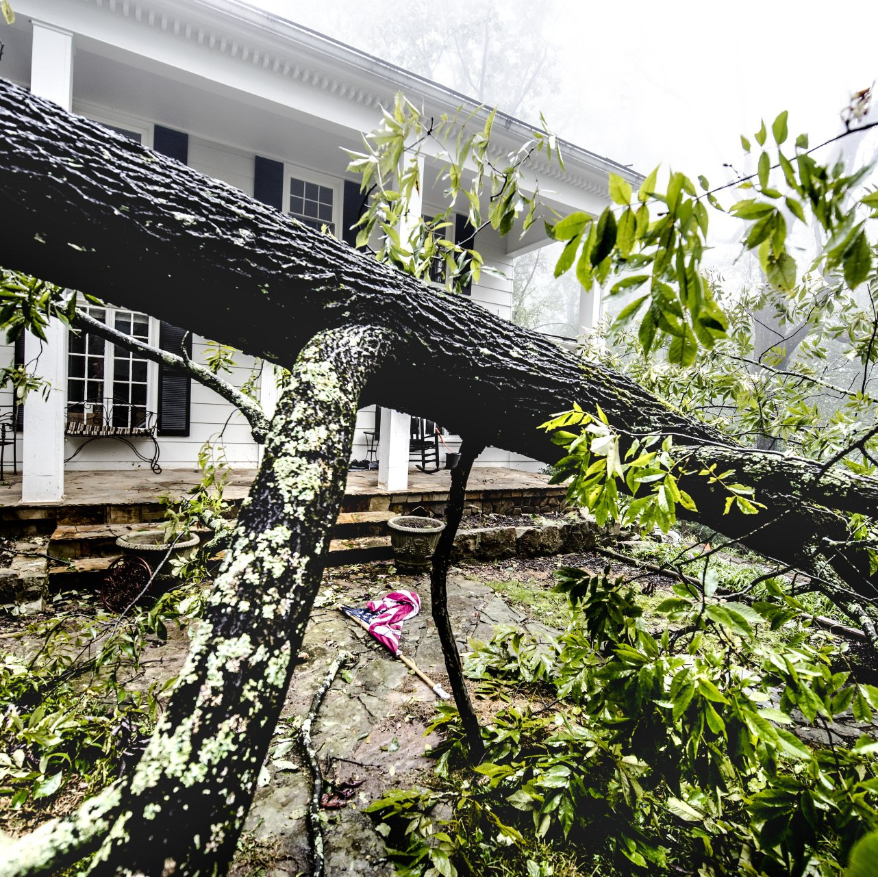 Storm damage removal | West Point, KY | L & S Tree Service Storm damage removal | West Point, KY | L & S Tree Service