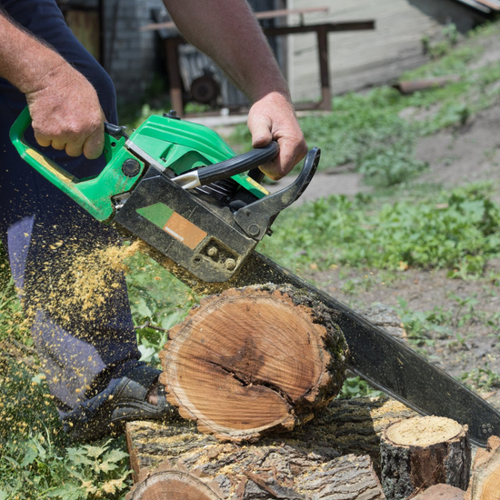 Man cutting branch | West Point, KY | L & S Tree Service Man cutting branch | West Point, KY | L & S Tree Service