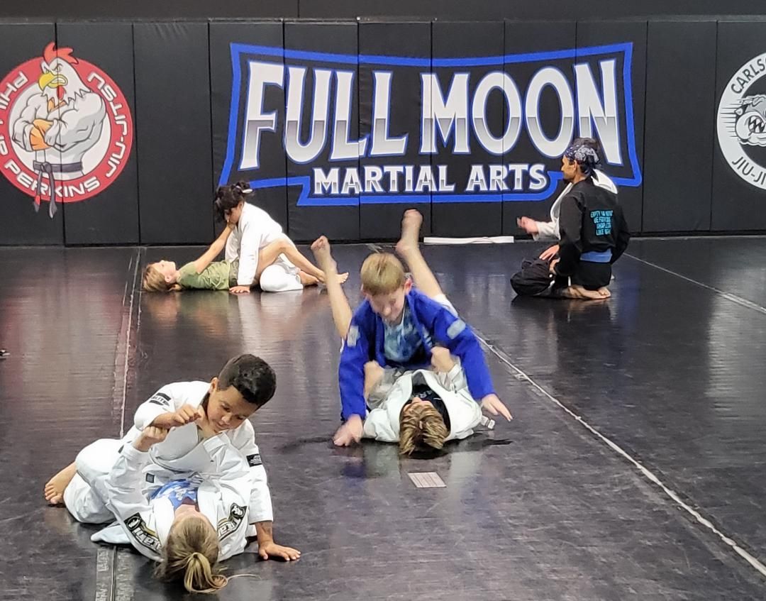 Children practicing martial arts on a mat, with a 