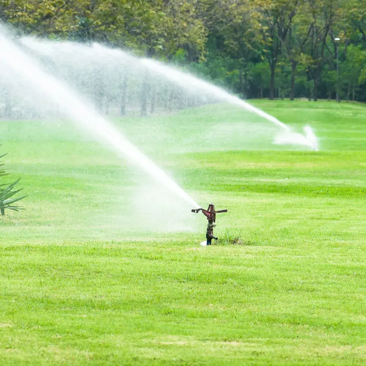 A sprinkler is spraying water on a lush green field.