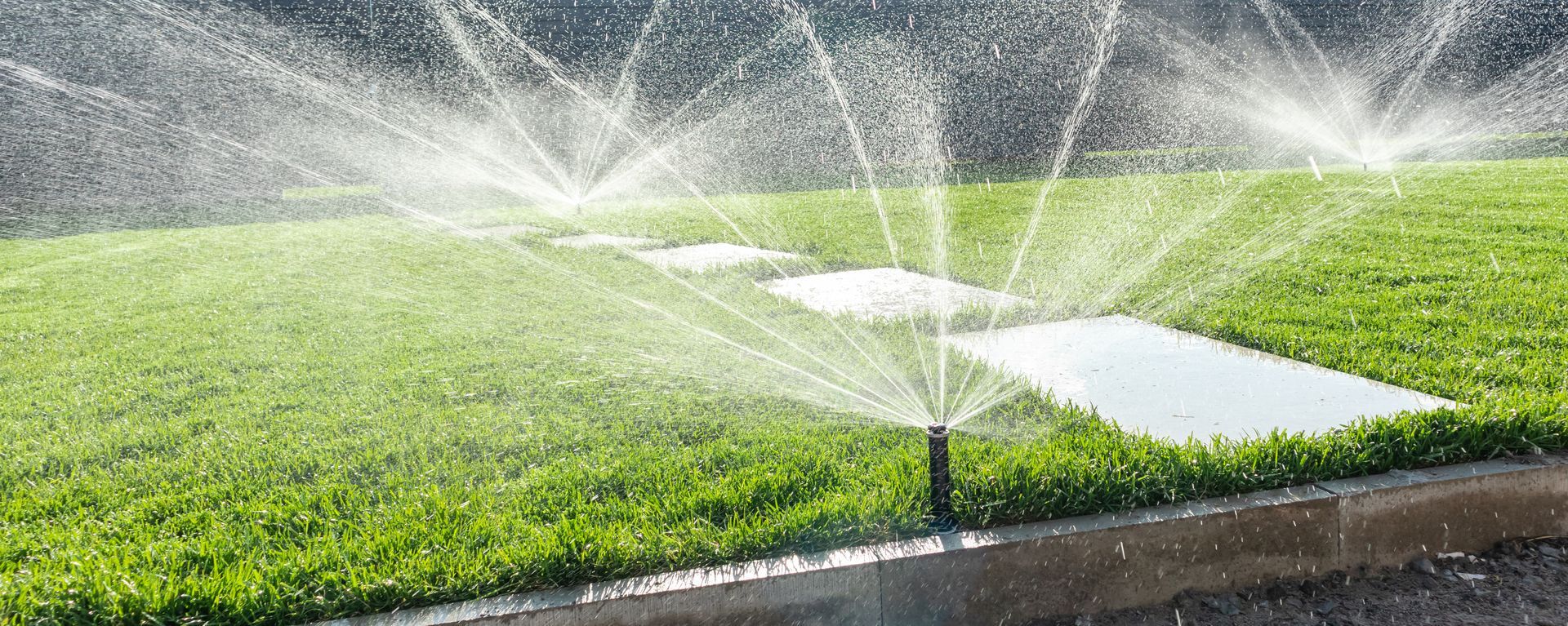 A row of sprinklers are spraying water on a lush green lawn in a park.