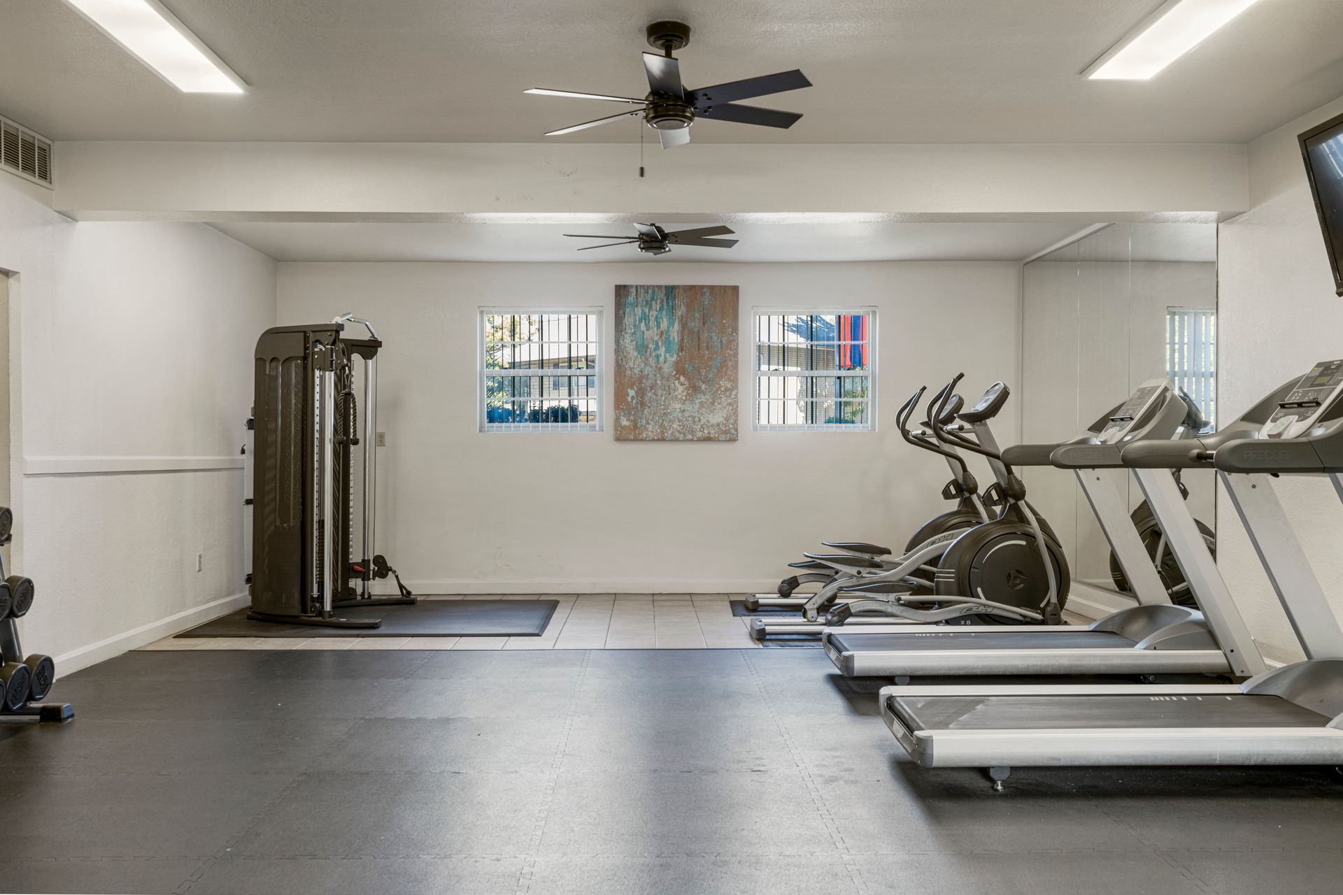 fitness