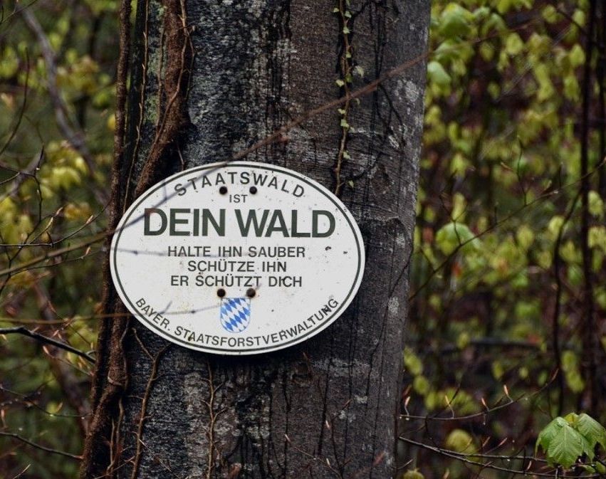 Staatswald ist Dein Wald - Staatsforsten roden Wälder 