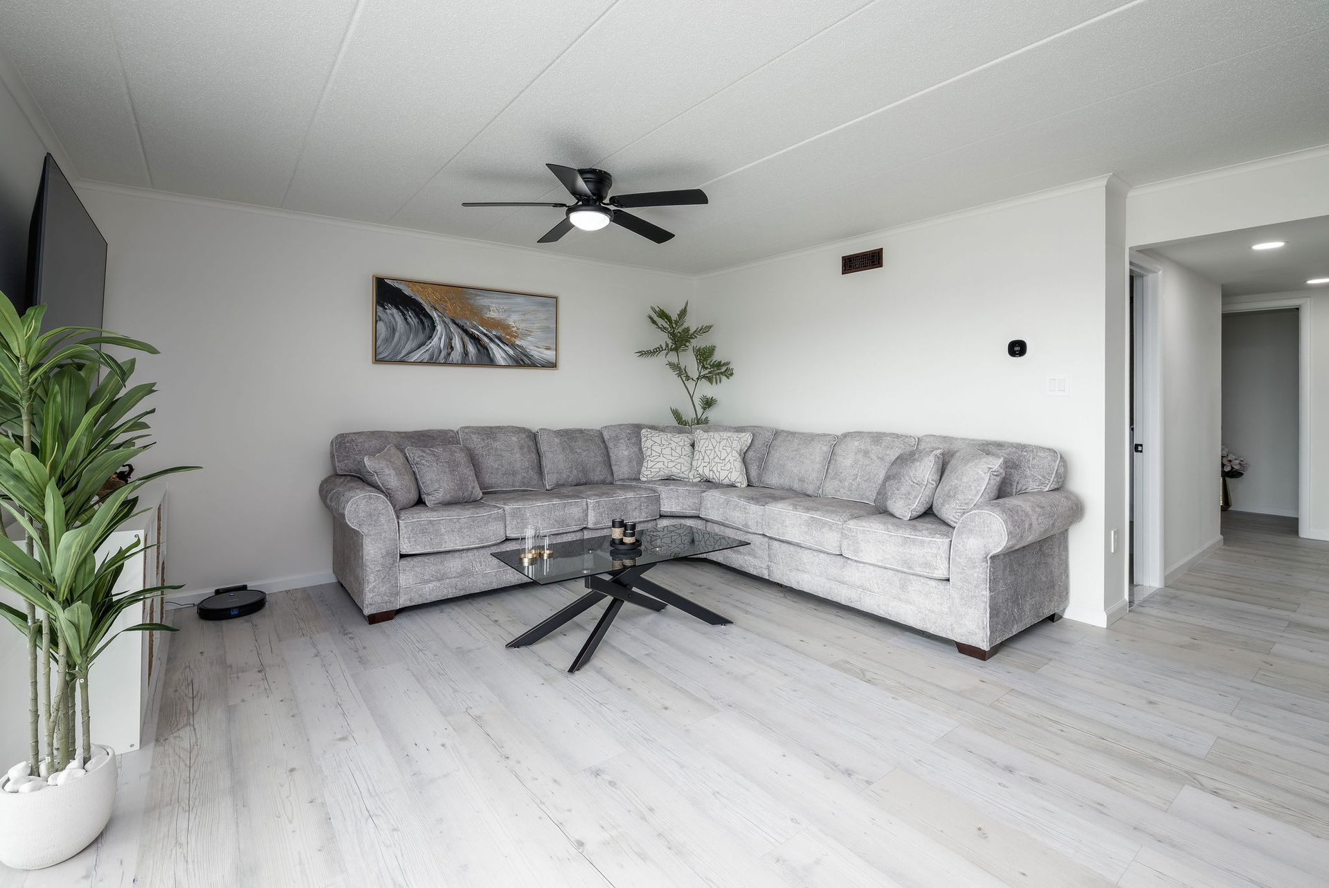 Living room with gray sectional sofa, glass coffee table, and large plant.