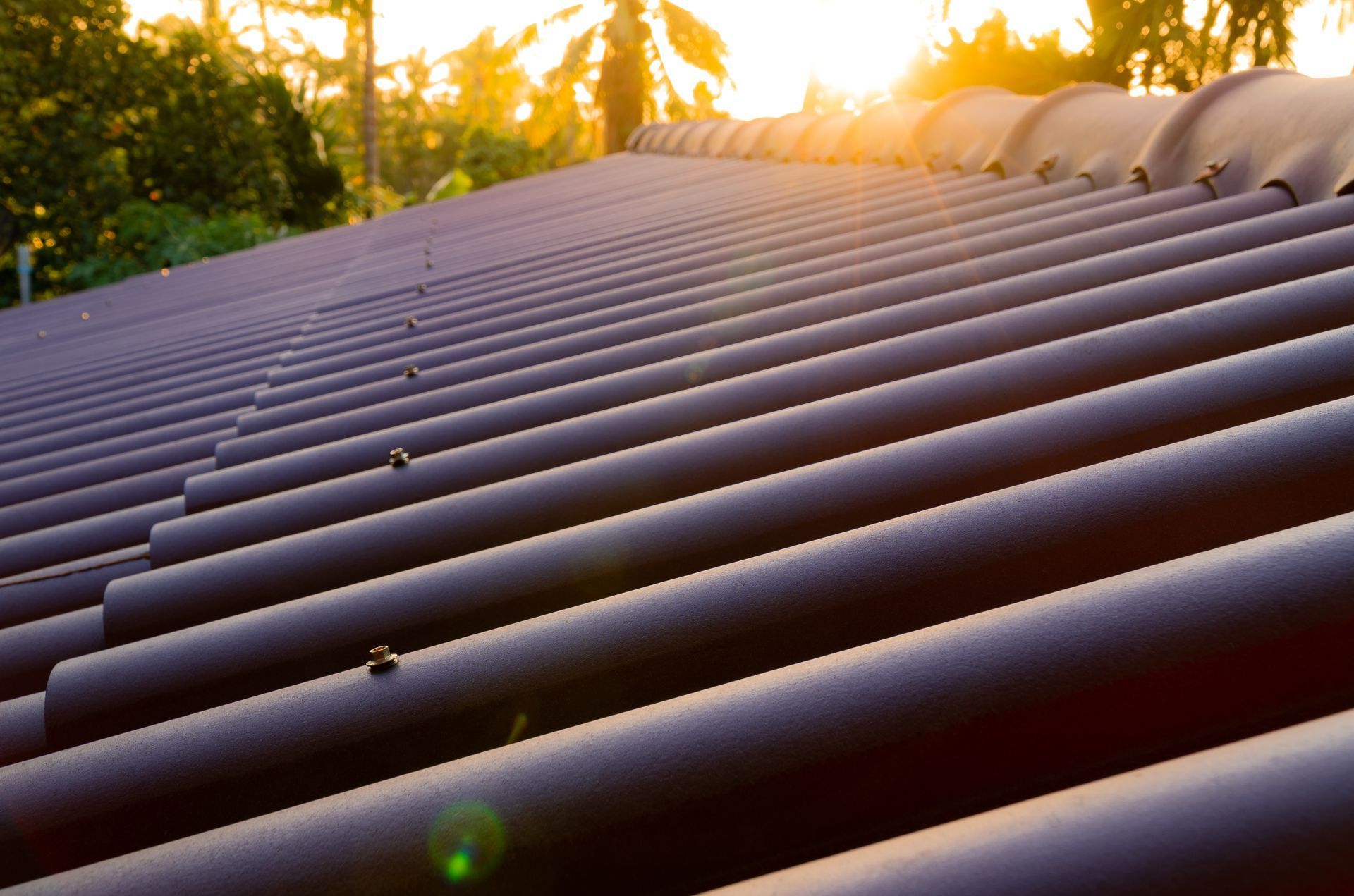 Black corrugated roof panels with warm sunlight and trees in the background Black corrugated roof panels with warm sunlight and trees in the background