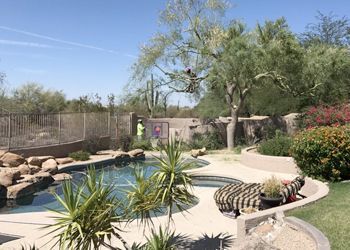 A backyard with a pool, hot tub, and desert landscaping. A tree is in the center with a person in the background.