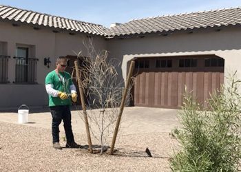 A man is planting a tree in front of a house.