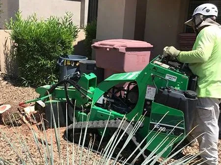 Man operating a green stump grinder near a house; brown mulch, trash bins, and foliage in the setting.