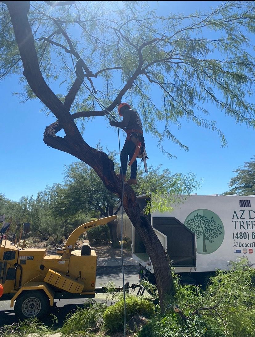 A tree worker trims a tree branch while secured with a harness, next to a wood chipper and truck.