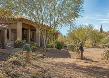 Two people raking leaves in a desert yard beside a stucco house and trees