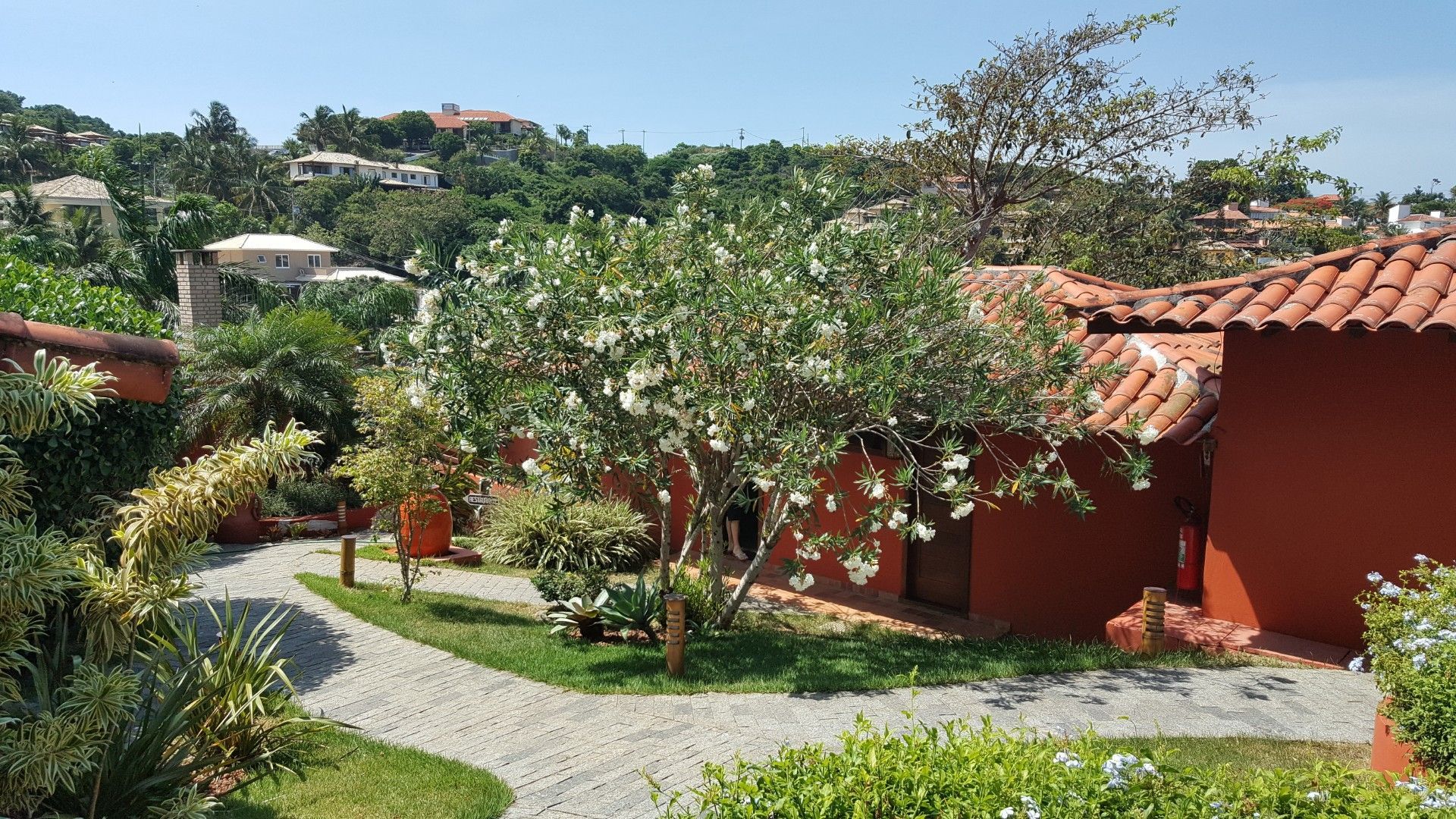 Academia com aparelhos de ginástica, espelhos e telhado de palha.