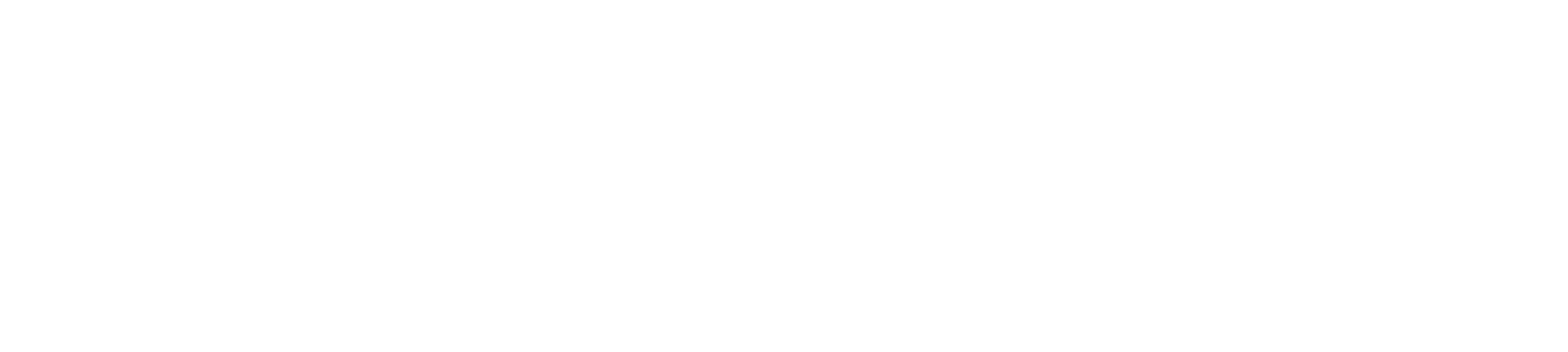 All white logo for Casillas Funeral Home with white text and a white outline of a dove on the left side