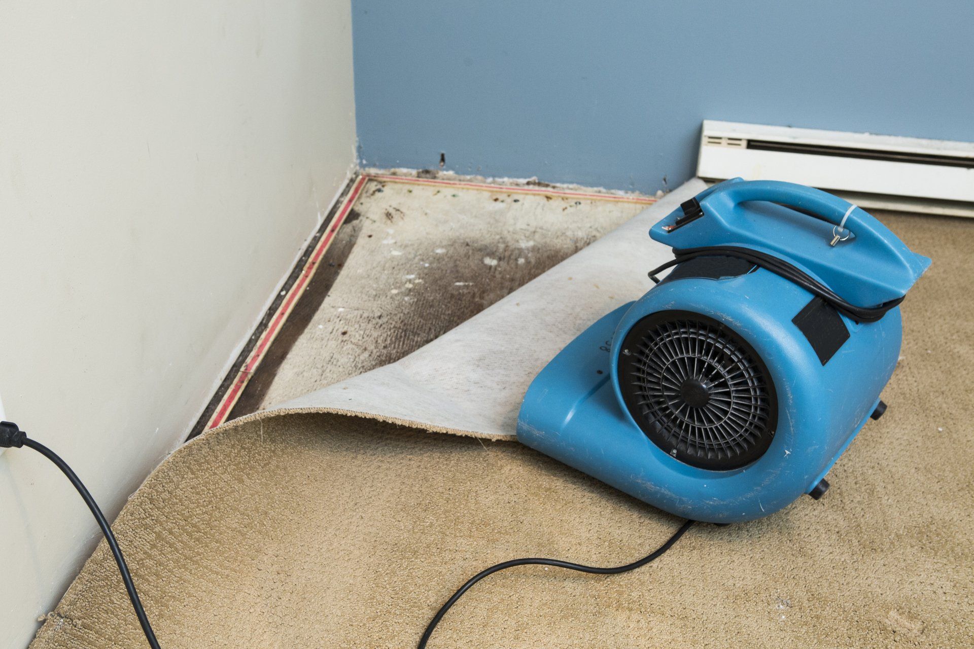 Flood Home Restoration — Bryan, OH — Sammons Carpet Care Flood Home Restoration — Bryan, OH — Sammons Carpet Care