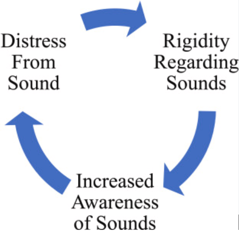 understanding the vicious cycle of misophonia 