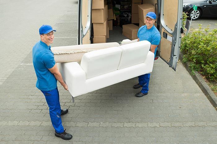 MUEBLES, PROTECCIÓN