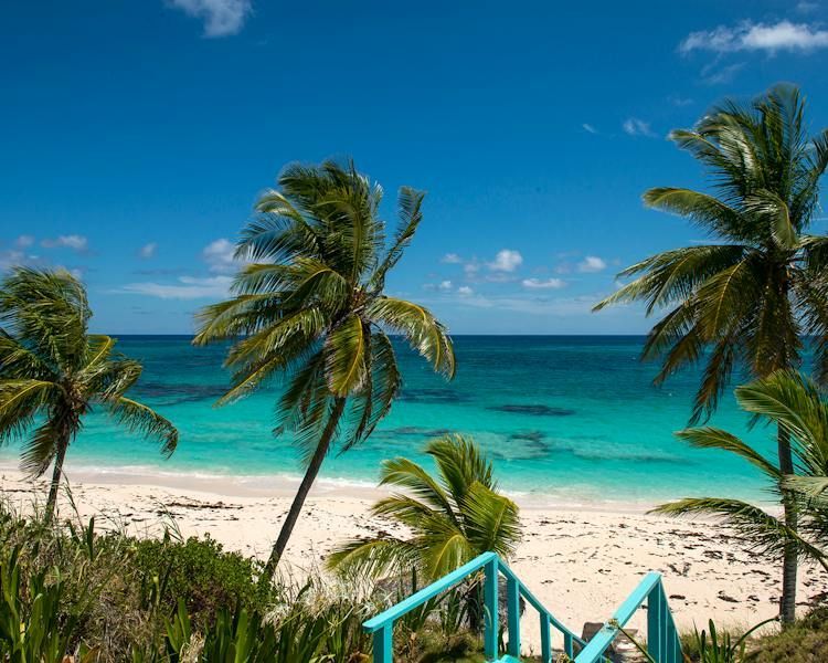 Sunny tropical beach with palm trees, turquoise water, and blue stairs in the foreground