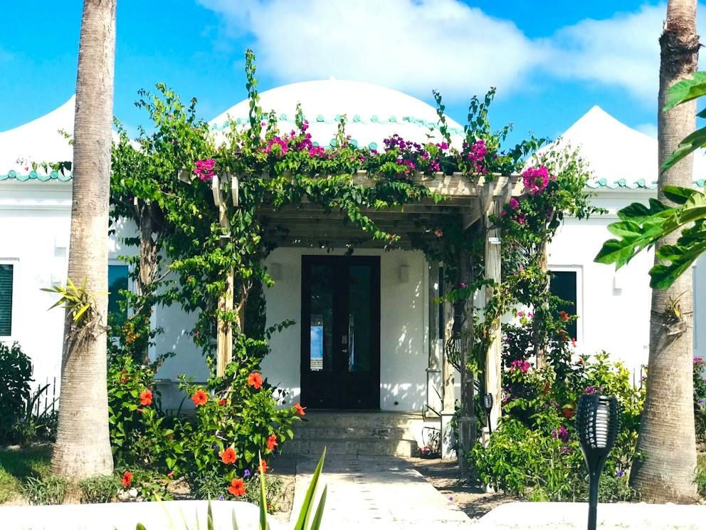 White villa entrance with vine-covered archway, pink flowers, and palm trees under a bright blue sky