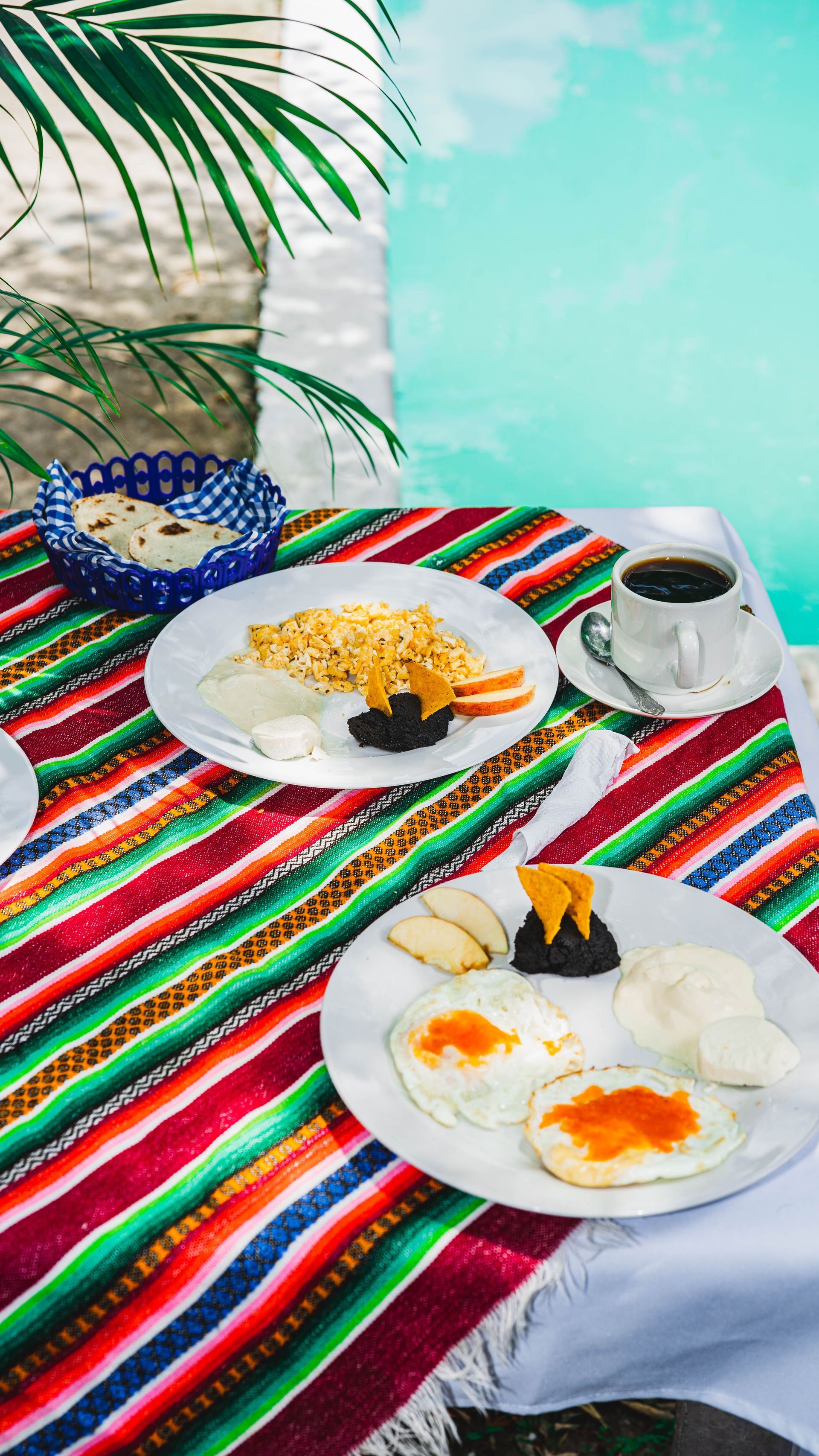 Breakfast plates and coffee on a colorful striped cloth by a turquoise wall, with a plant leaf nearby