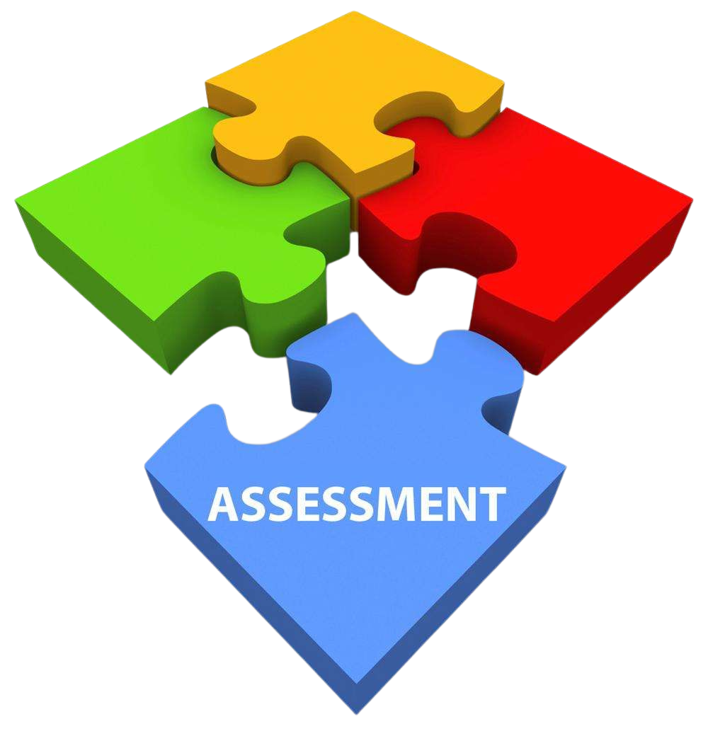 The word assessment is on a puzzle piece