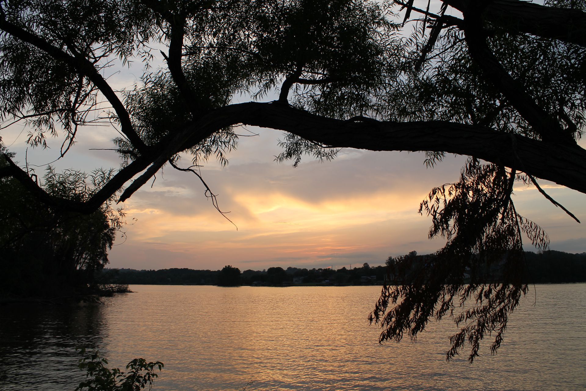Silhouetted tree branches framing a calm lake at sunset with a pastel sky