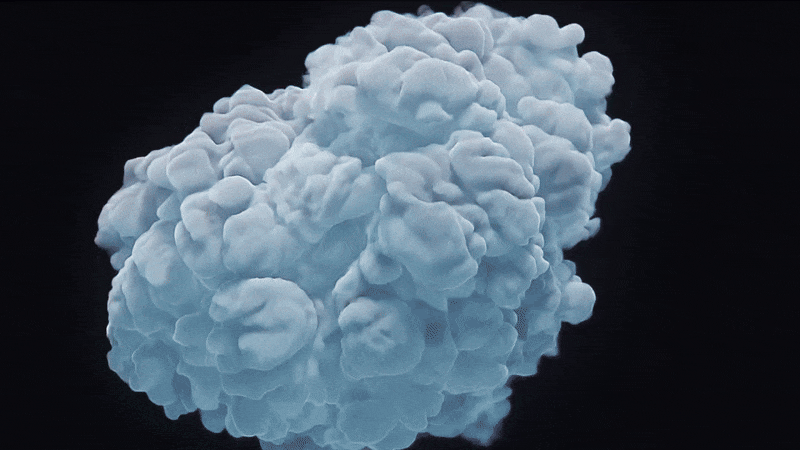 savant marketing agency