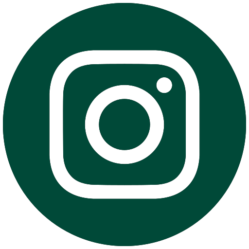instagram logo
