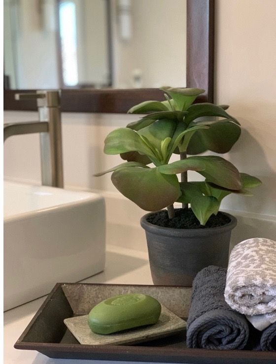 A green plant, a bar of soap, and rolled grey towels sit on a bathroom counter near a white sink and mirror.