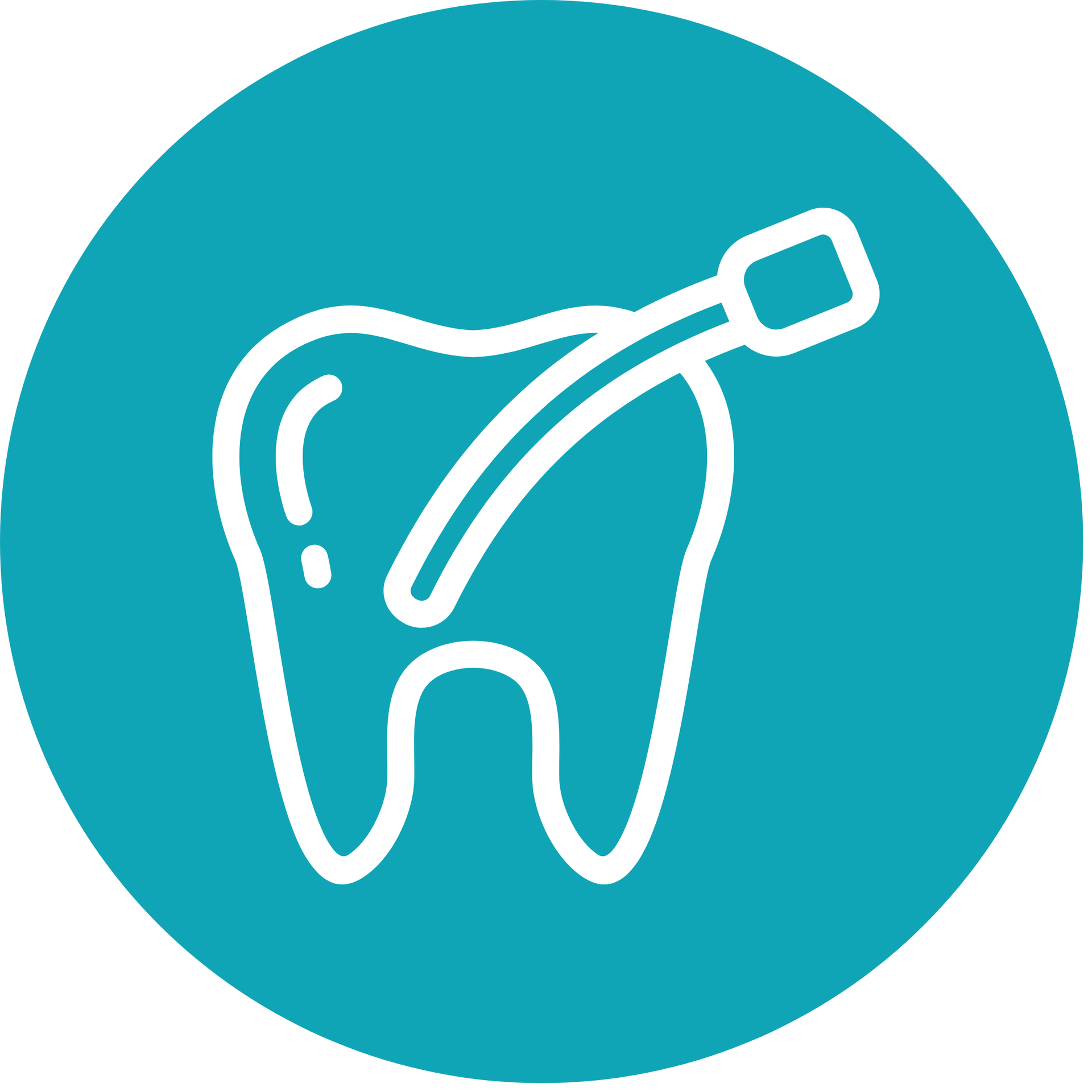 Tooth Root Canal
