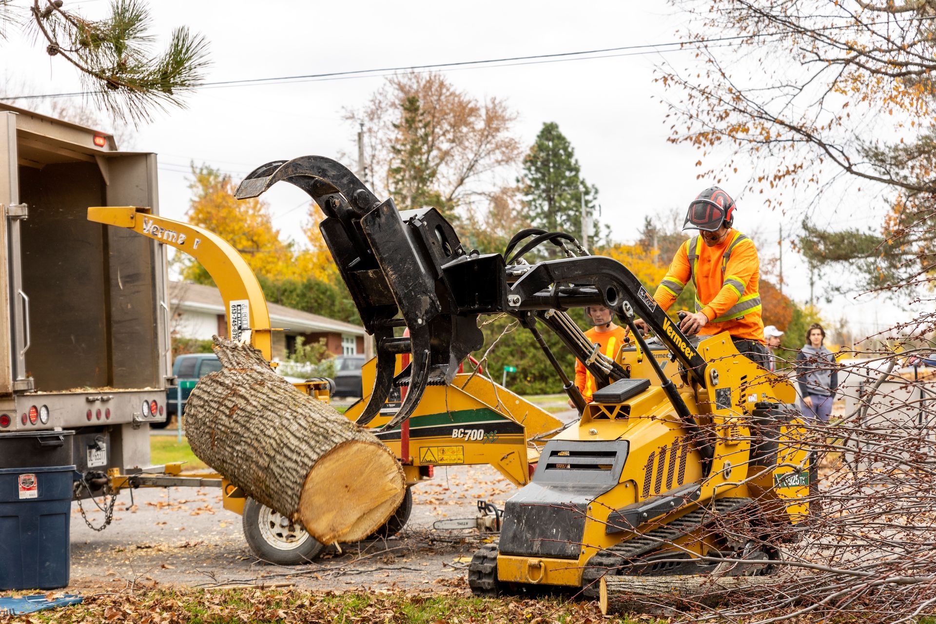 Arborist in yellow shirt, helmet, and safety gear, working in a tall leafy tree. Chainsaw and bag attached.