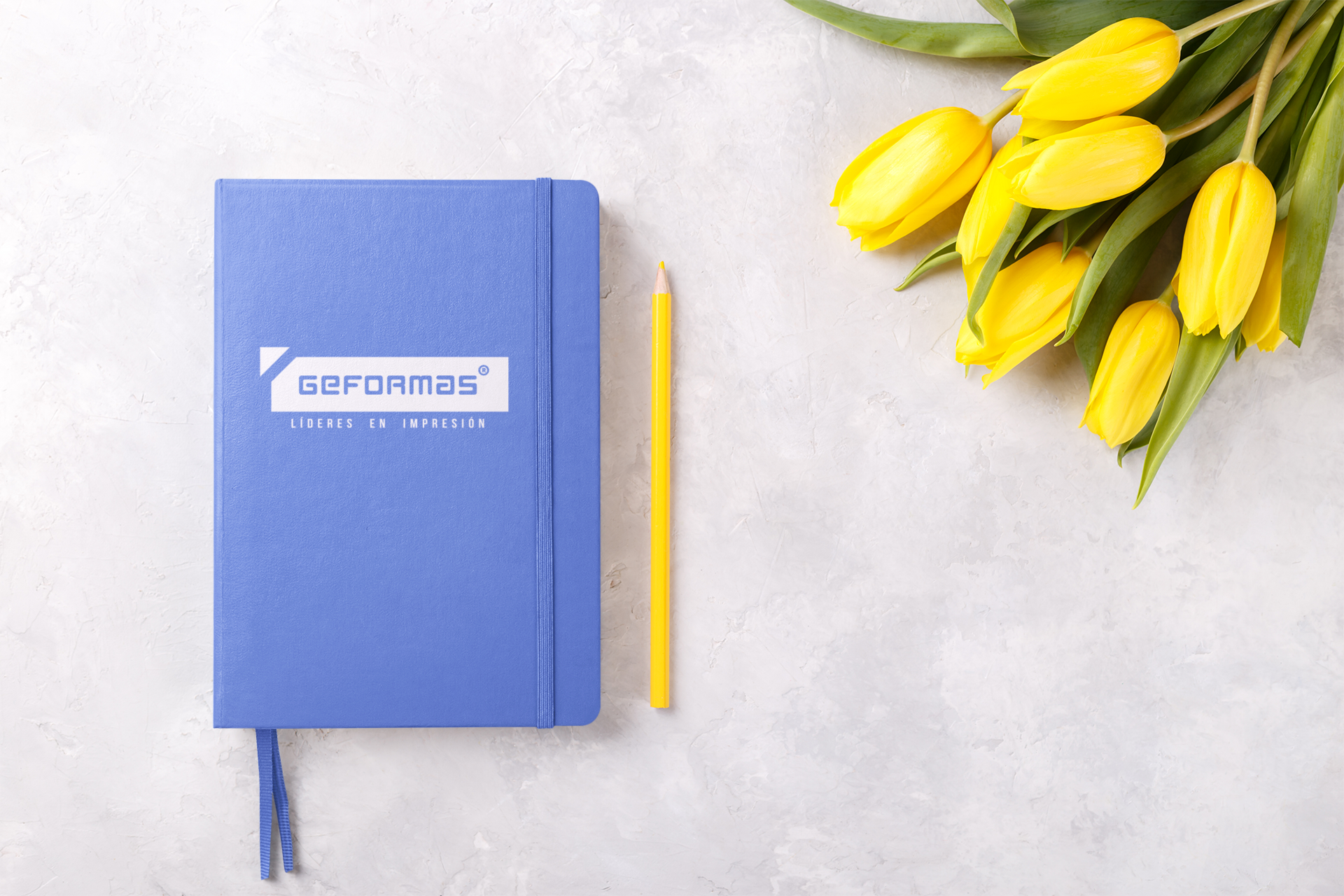 Agendas promocionales