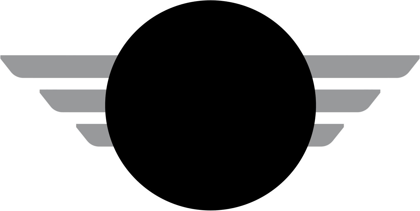 Black circle with gray wing-like stripes