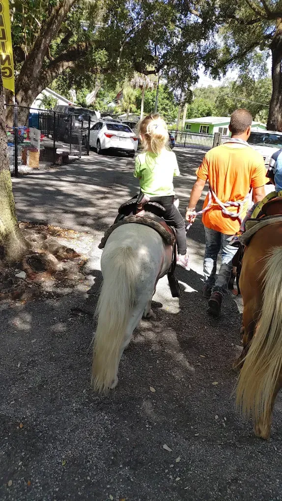 A person in an orange shirt leads a pony carrying a rider in a green shirt on a gravel path under trees.