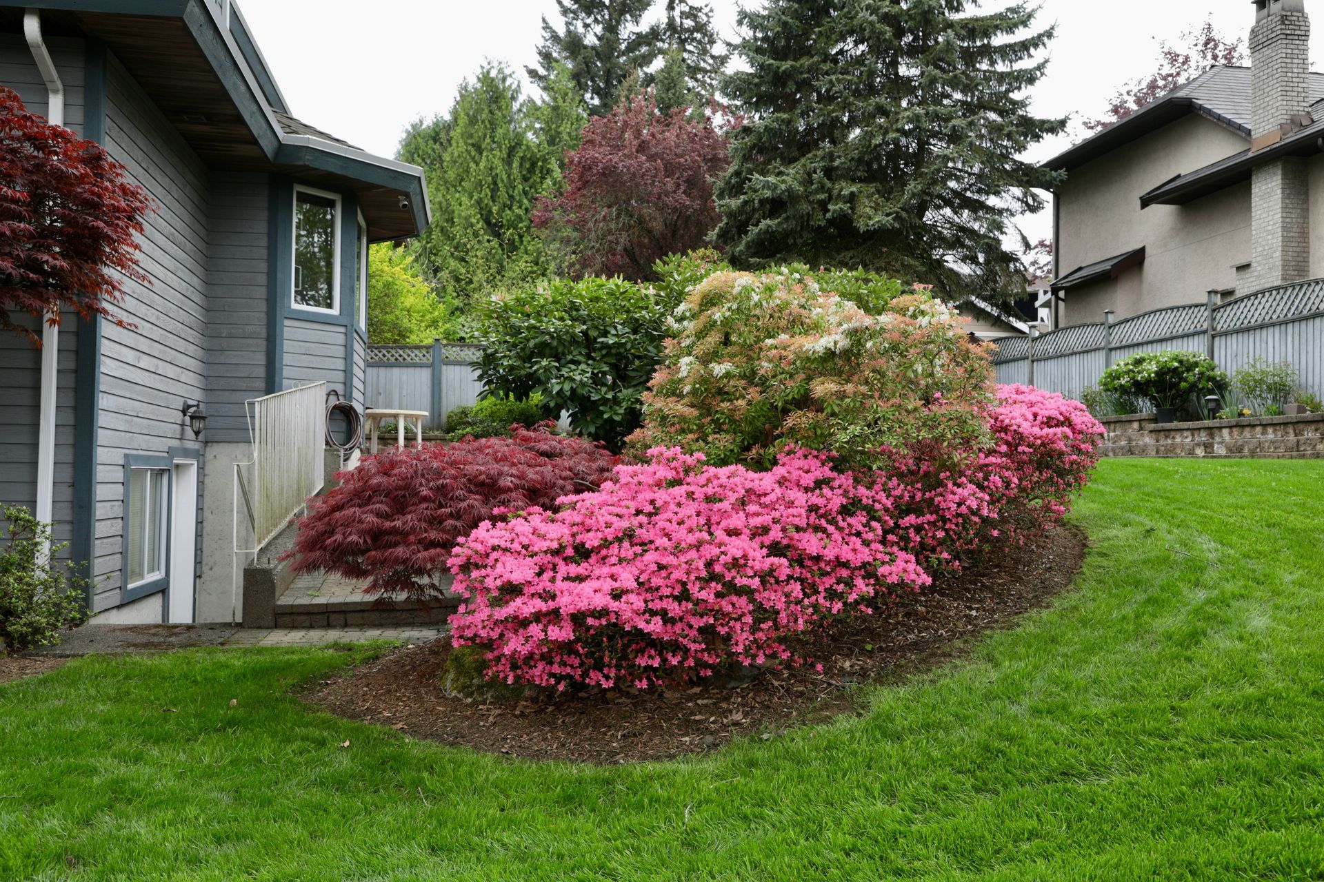 pink bush in custom landscape bed located in cedar valley iowa