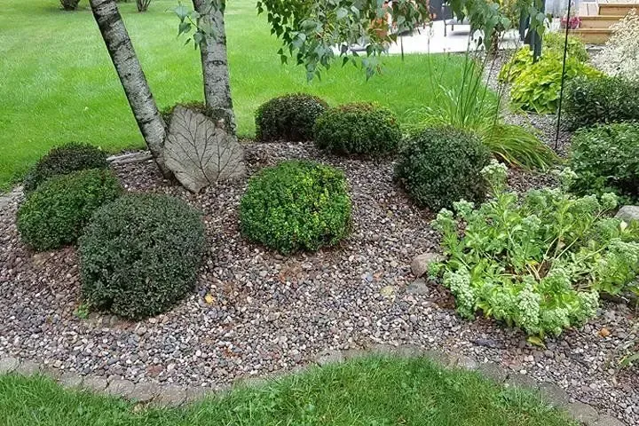 custom landcaping northeast iowa