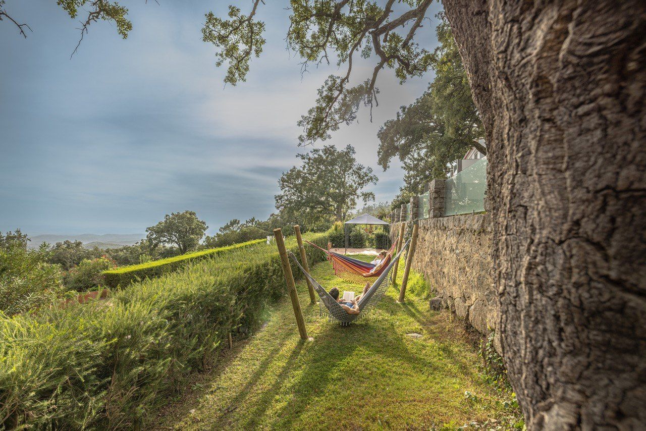The hammocks