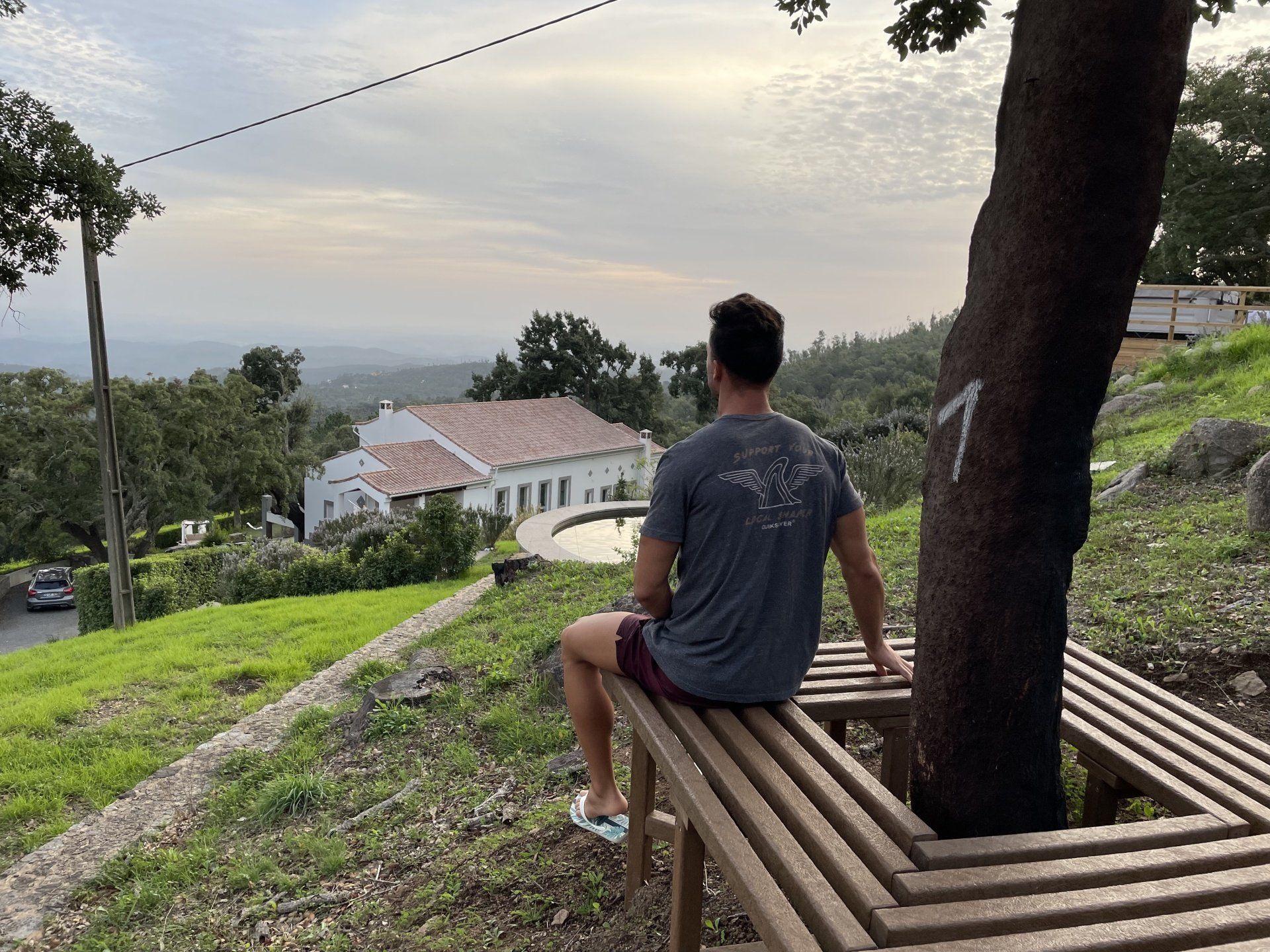 looking at the view from the tree bench