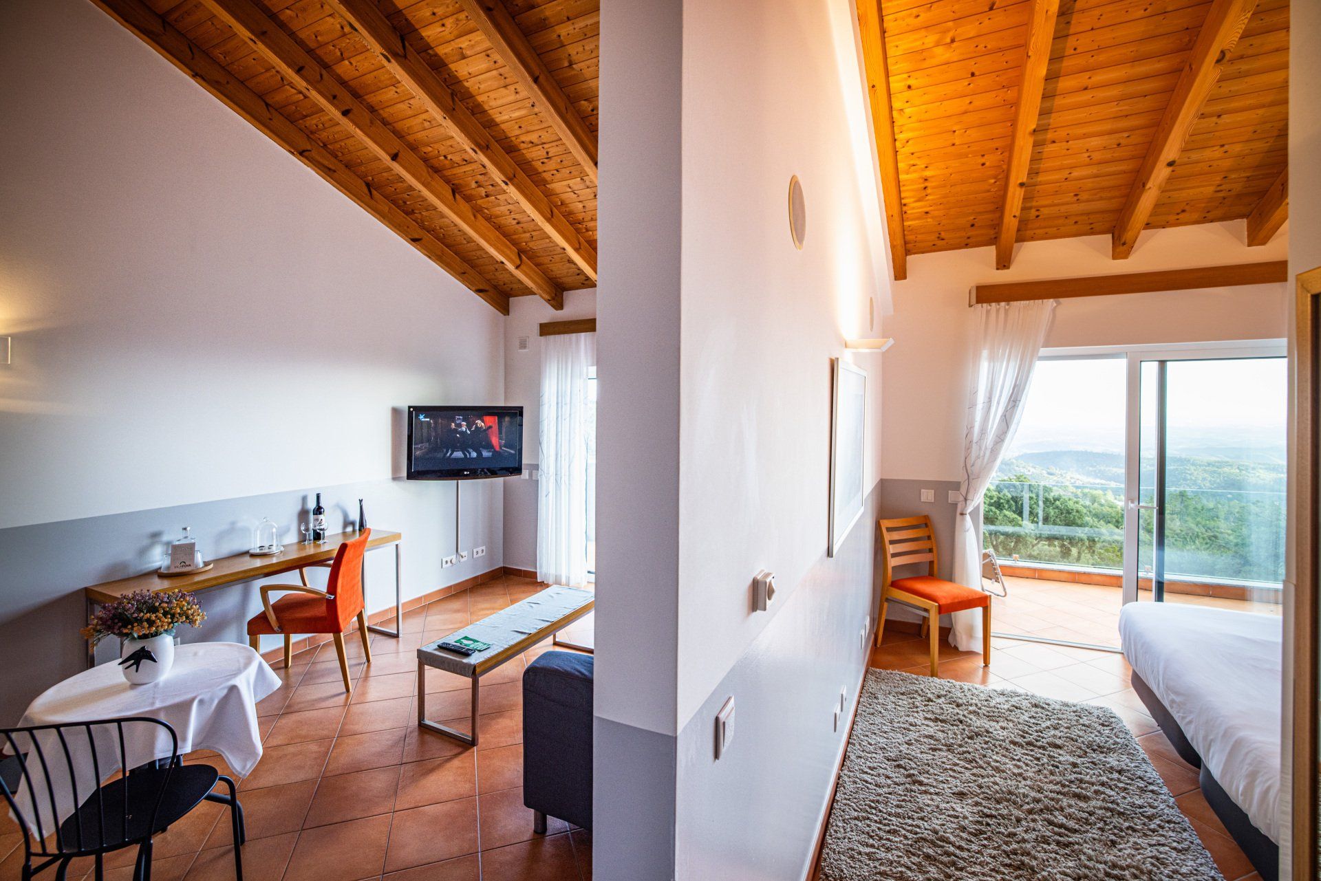 an overview of the suite
