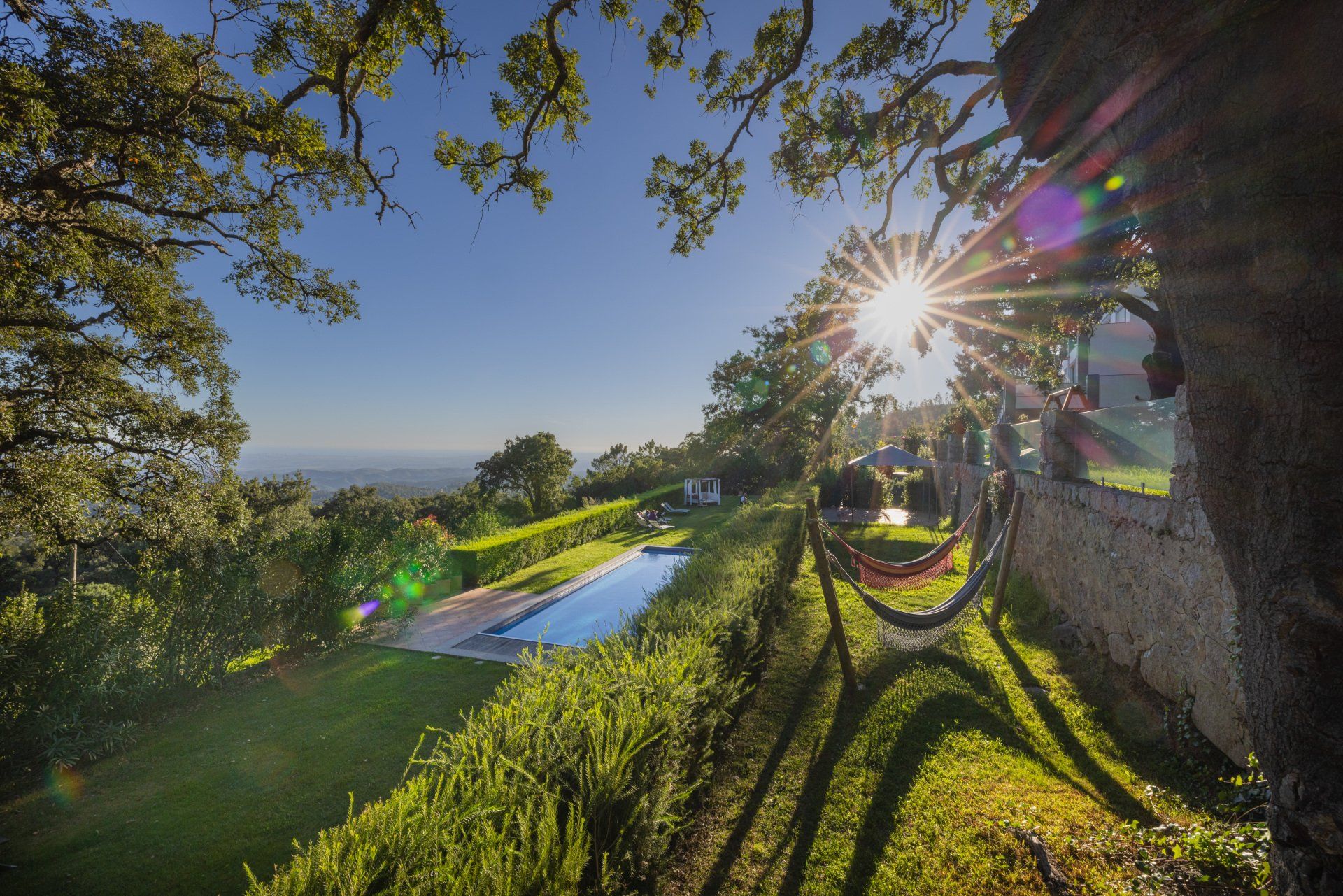 A view to the garden with rays of sunlight