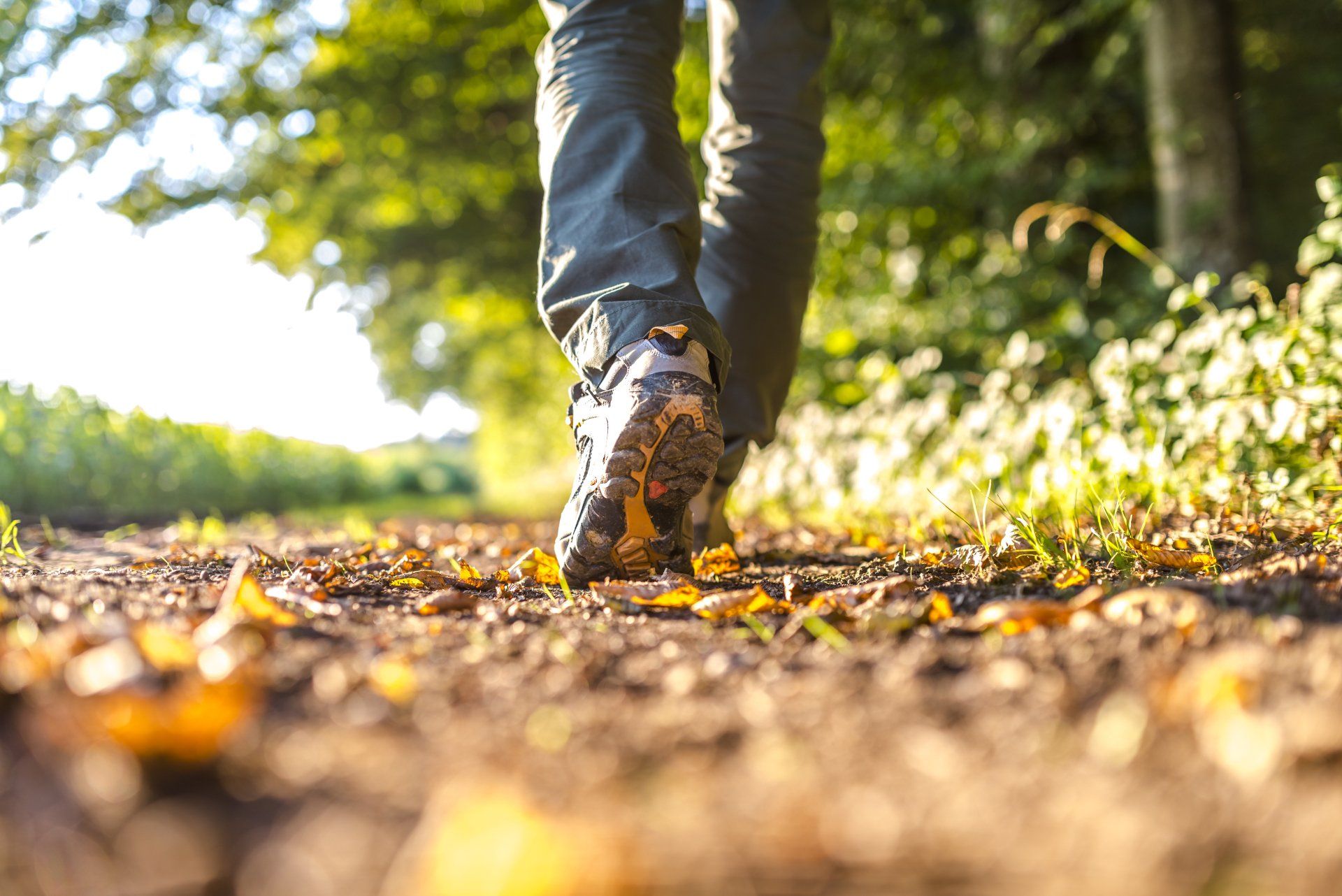 walking in the forest
