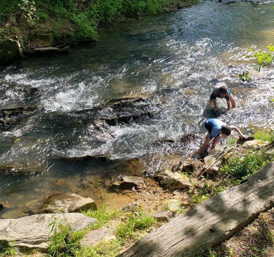 campground blue ridge ga