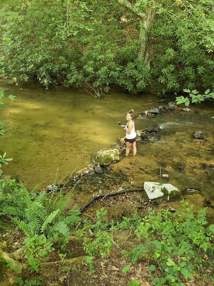 cabin rental in blue ridge ga