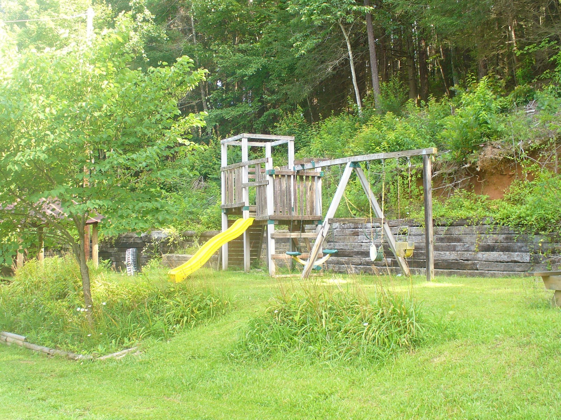 primitive camping in blue ridge ga