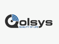 A logo for chekt professional visual security The golsys quality of life logo is on a white background.