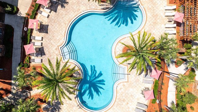 Aerial view of a turquoise, uniquely shaped swimming pool surrounded by palm trees, lounge chairs, and pink umbrellas.