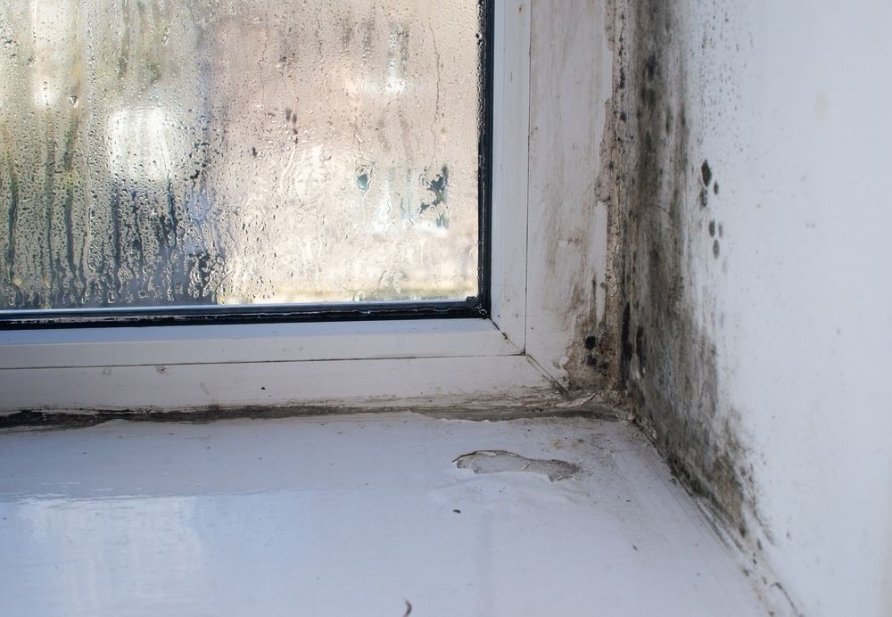 Mold and water stains on a white window frame and corner wall near a wet sill.