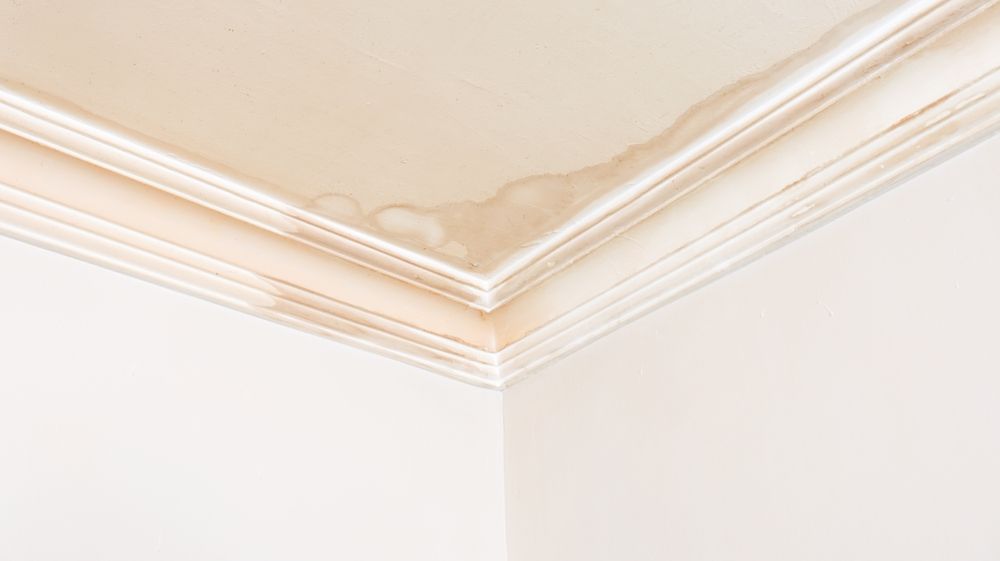 Water-stained ceiling corner with peeling beige paint and white crown molding