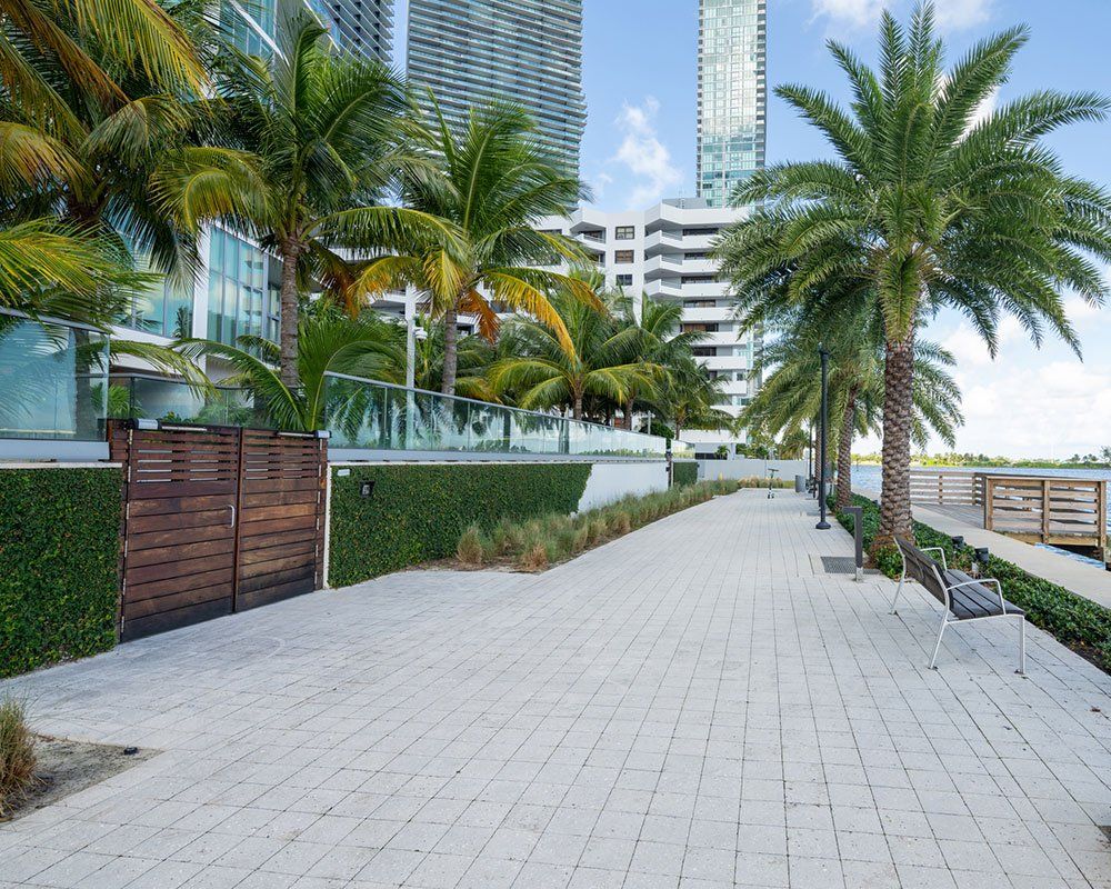 Walkway with Palm Trees — Miami, FL — Concrete Services Pump and Finishing Inc. Walkway with Palm Trees — Miami, FL — Concrete Services Pump and Finishing Inc.
