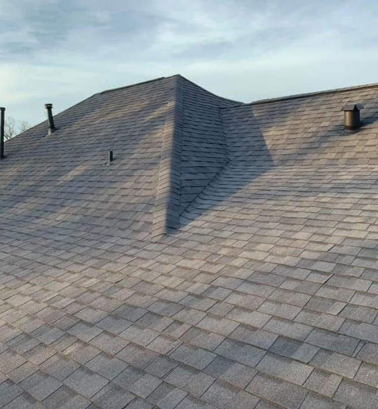 Shingle Roof Auburn