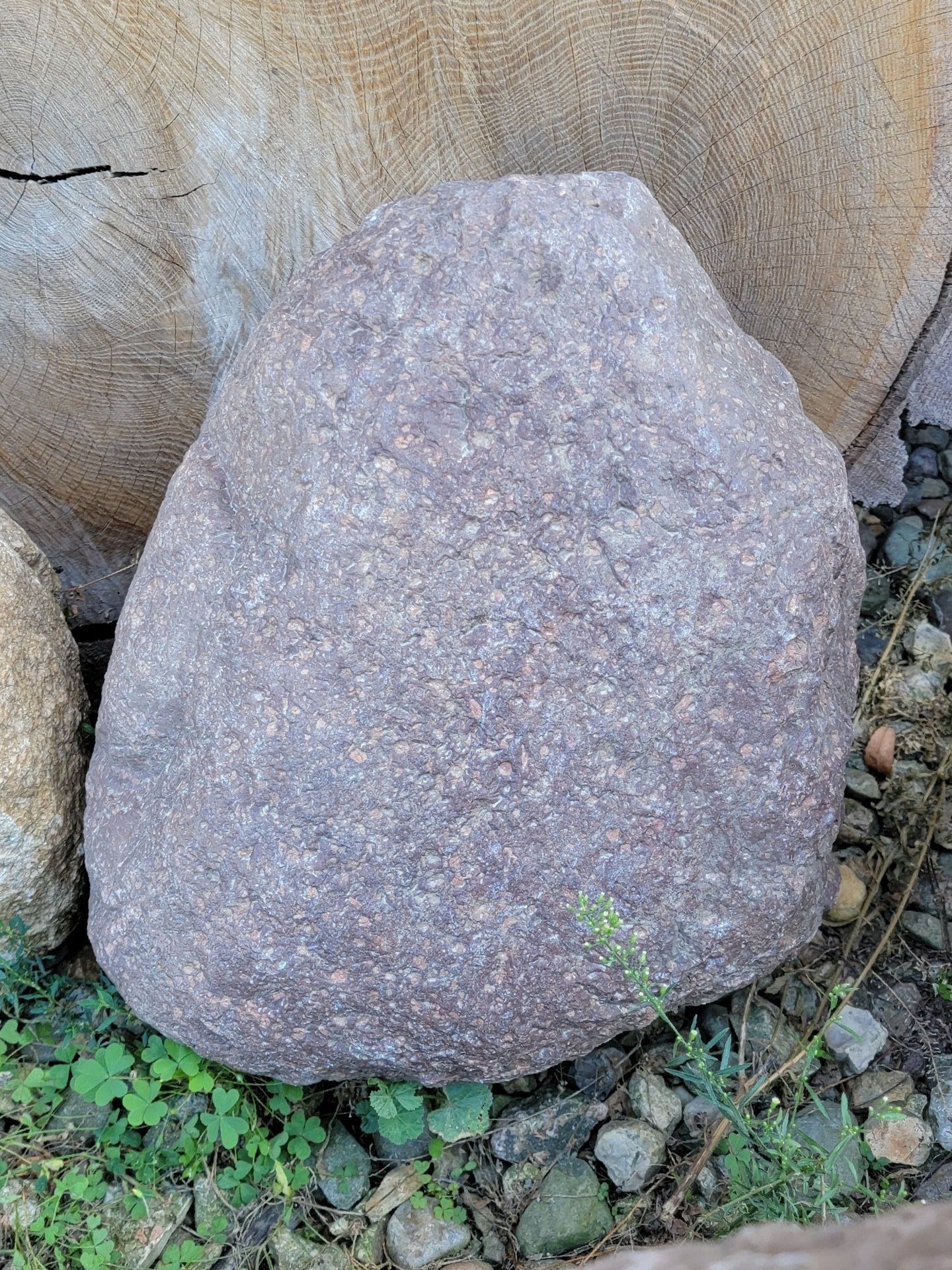 Size is 14.5