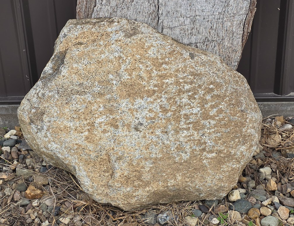 Size is 16